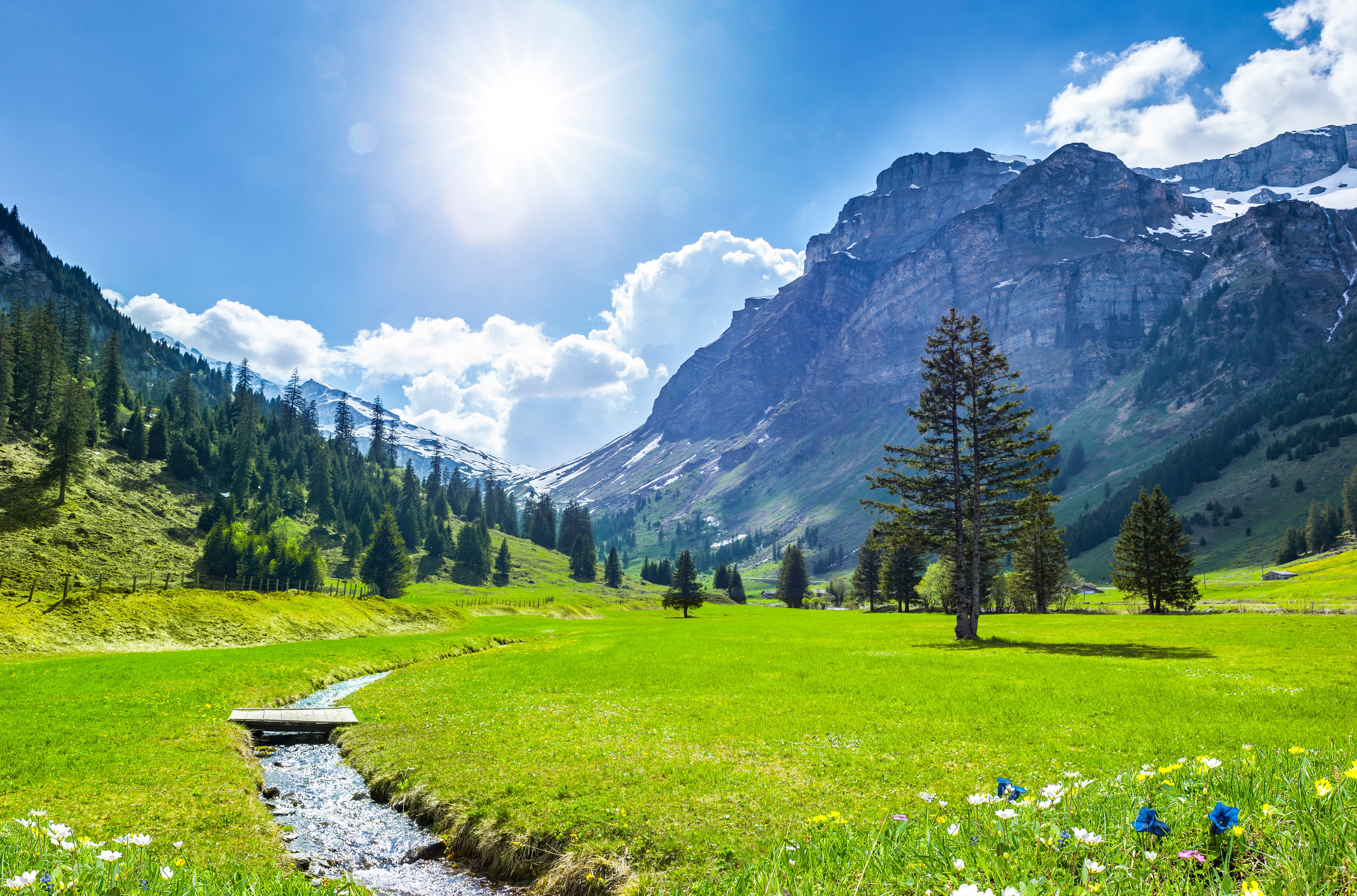 Starke Divergenzen - zwischen Hoffnung und Unsicherheit